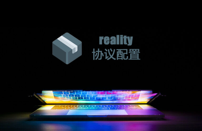 reality配置文件(sing-box篇)